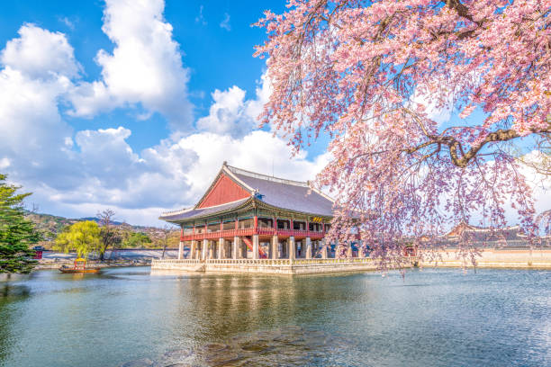 Japan and South Korea Group Tour